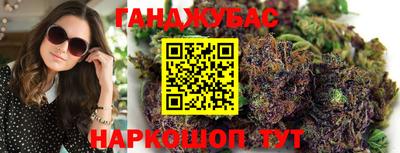 Альфа ПВП Новозыбков