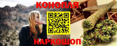 гидра Новодвинск