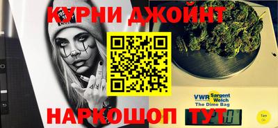 гидра Новодвинск