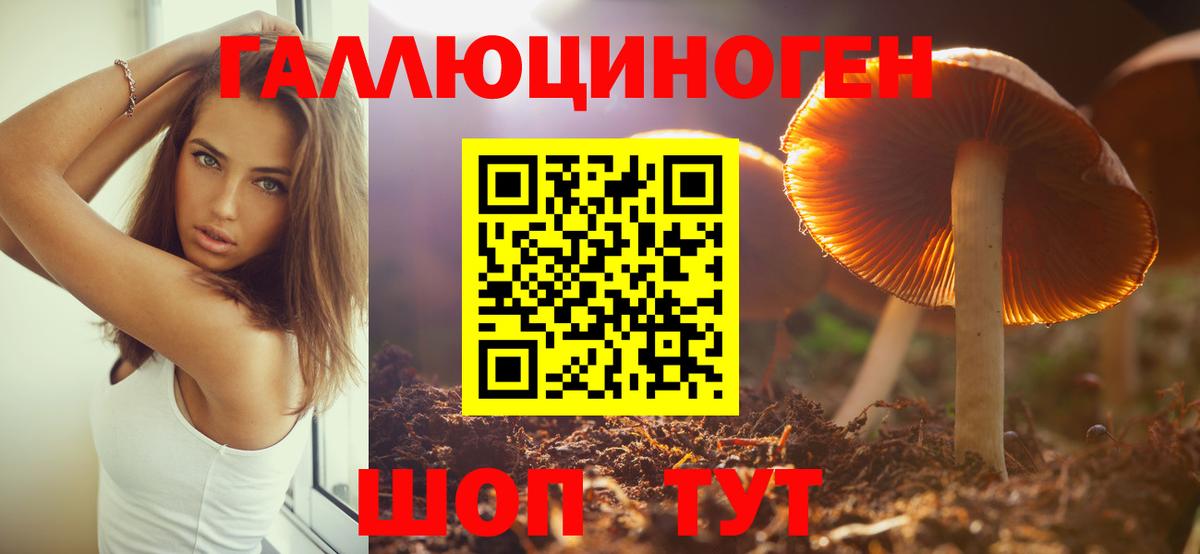 магазин продажи наркотиков  Псилоцибиновые грибы прущие грибы  Вход с VPN  Псков 