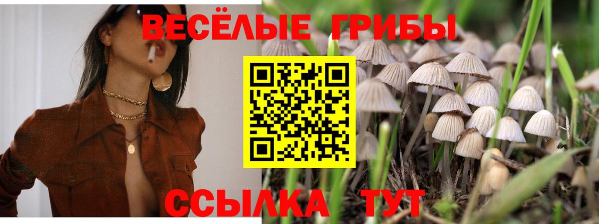 Галлюциногенные грибы Magic Shrooms Псков